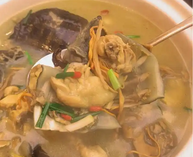 滋补养生一锅炖！甲鱼炖汤，补气养肾，家庭必备美味汤品